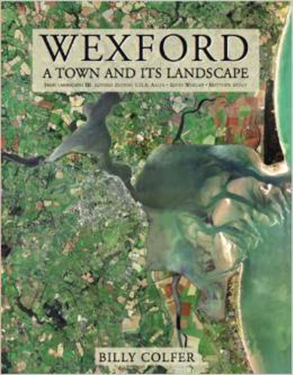 Wexford A Town And Its Landscape